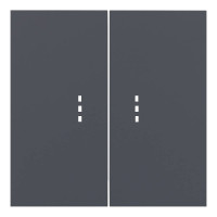 Лицевая панель выключателя 2 кл. с подсветкой, Базальт, Rikett 35612 BT