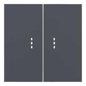 Лицевая панель выключателя 2 кл. с подсветкой, Базальт, Rikett 35612 BT