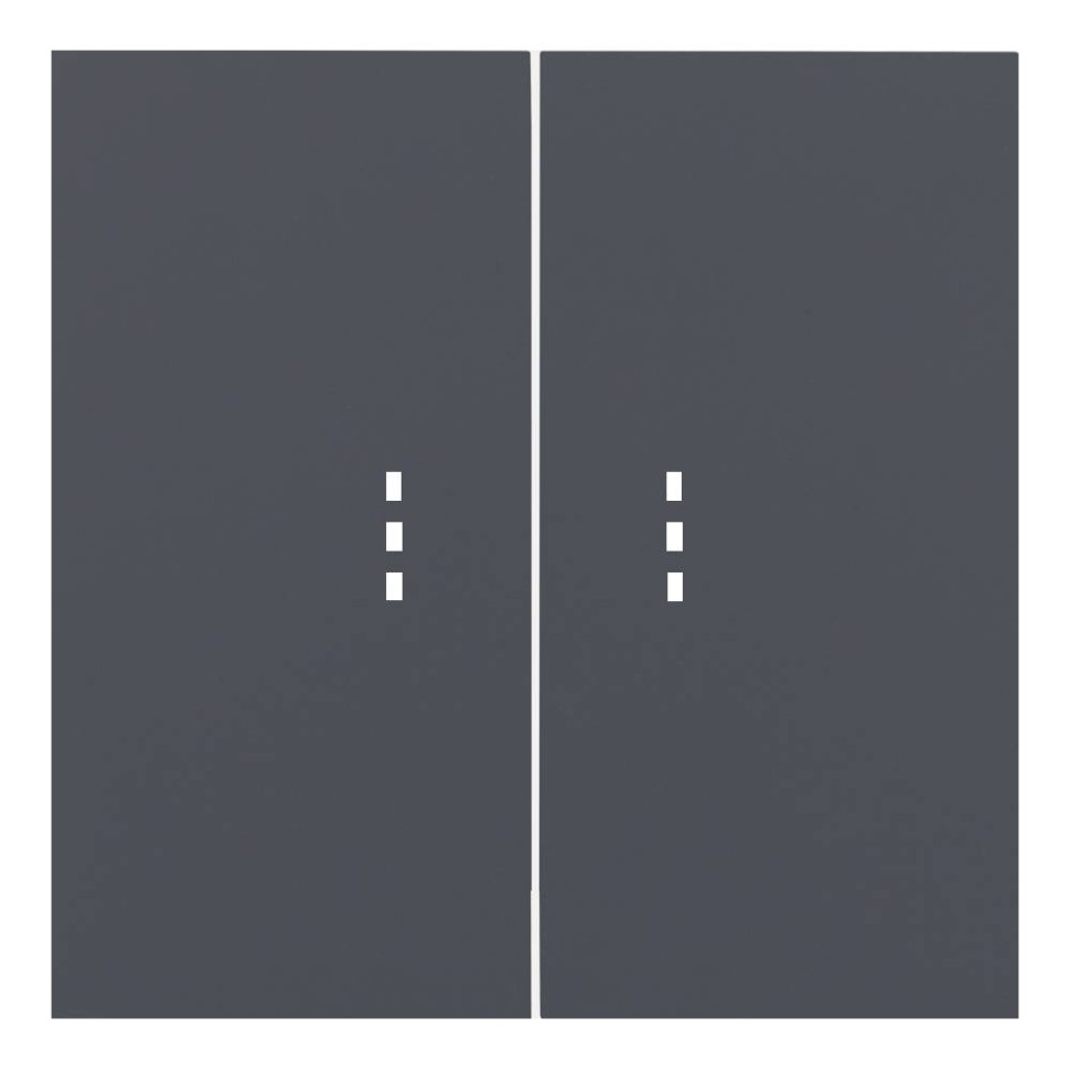 Лицевая панель выключателя 2 кл. с подсветкой, Базальт, Rikett 35612 BT Лицевая панель выключателя 2 кл. с подсветкой, Базальт, Rikett 35612 BT