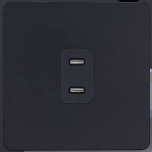 Розетка 2-ая USB для быстрой зарядки Type C, Черный, Leon Salvador SBAN11A1A12