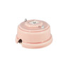 Розетка комп. RJ45 cat.6, керамика, розовый rosa, серебристая фурнитура, Leanza РК6ДС