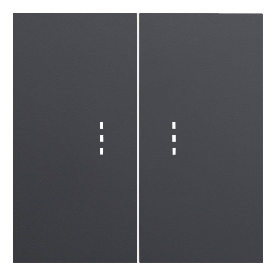 Лицевая панель выключателя 2 кл. с подсветкой, Черный сатин, Rikett 35612 MB Лицевая панель выключателя 2 кл. с подсветкой, Черный сатин, Rikett 35612 MB