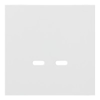 Лицевая панель USB-розетки С+С, Белый сатин, Rikkett 35675 MW