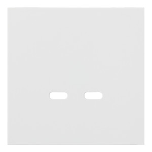 Лицевая панель USB-розетки С+С, Белый сатин, Rikkett 35675 MW Лицевая панель USB-розетки С+С, Белый сатин, Rikkett 35675 MW