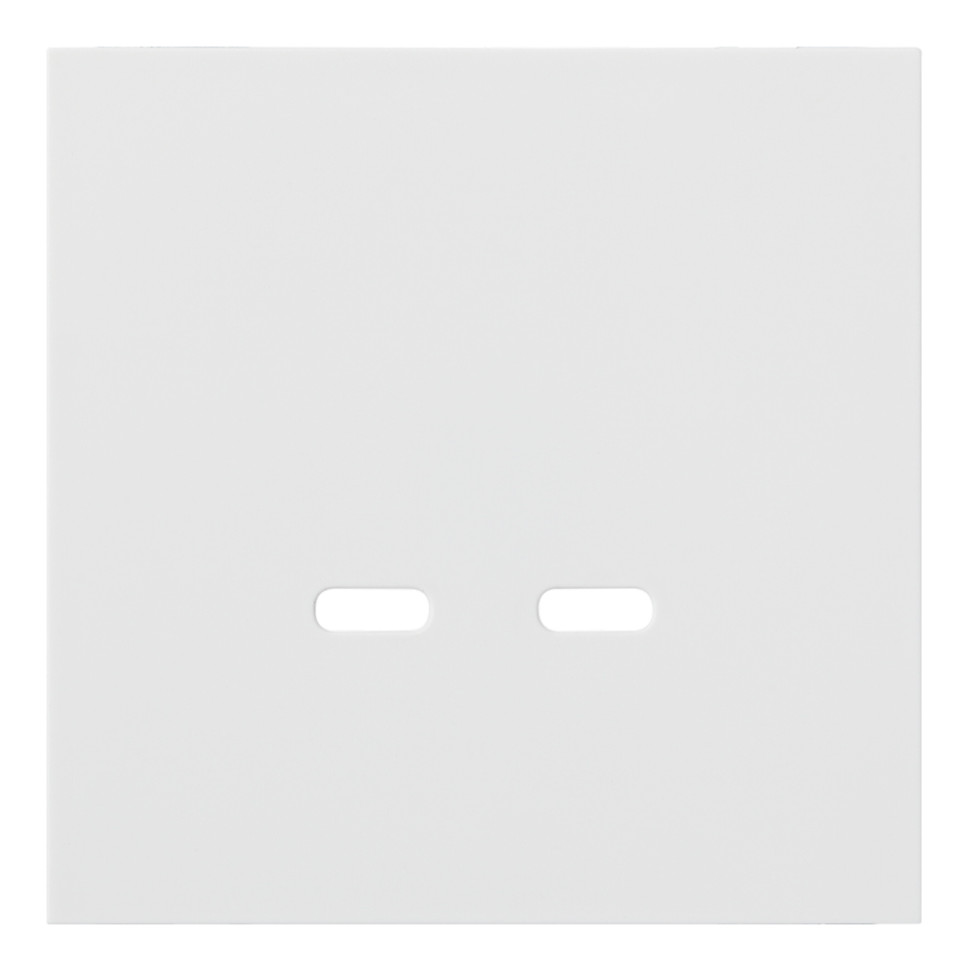 Лицевая панель USB-розетки С+С, Белый сатин, Rikkett 35675 MW