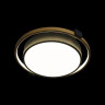 Потолочный светодиодный светильник Loft IT Mike 10169