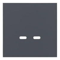 Лицевая панель USB-розетки С+С, Базальт, Rikkett 35675 BT