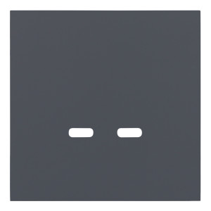 Лицевая панель USB-розетки С+С, Базальт, Rikkett 35675 BT Лицевая панель USB-розетки С+С, Базальт, Rikkett 35675 BT