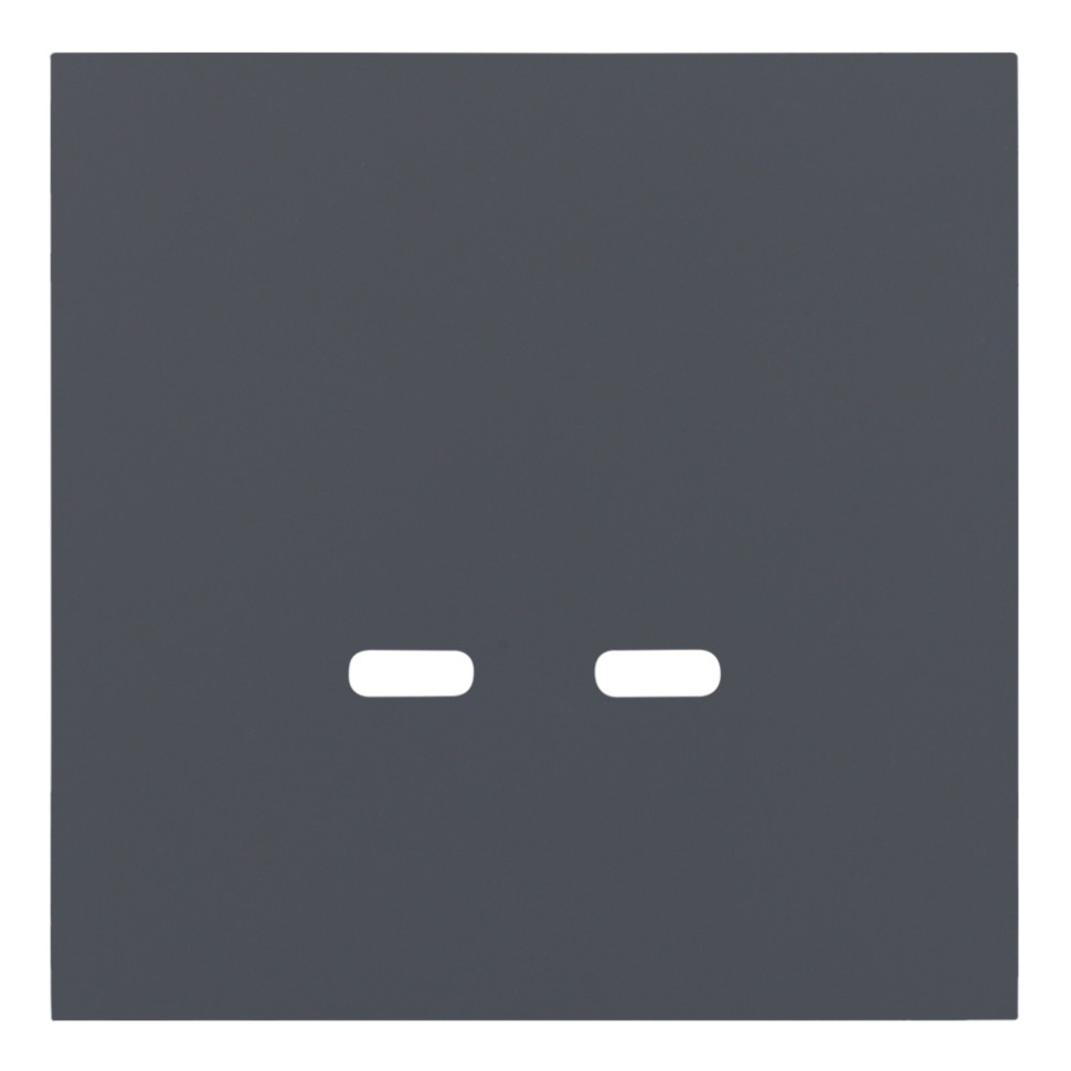 Лицевая панель USB-розетки С+С, Базальт, Rikkett 35675 BT Лицевая панель USB-розетки С+С, Базальт, Rikkett 35675 BT