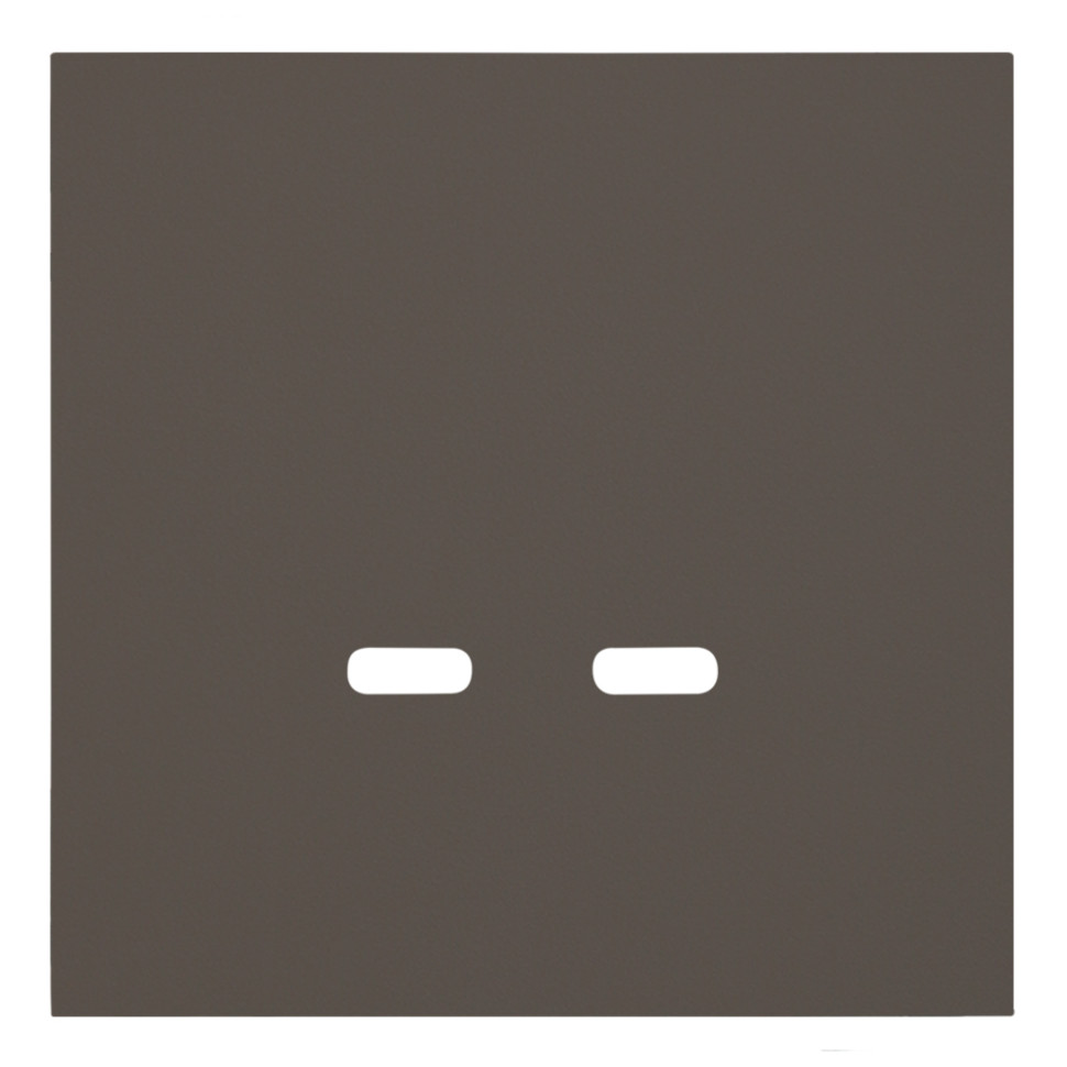 Лицевая панель USB-розетки С+С, Капучино, Rikkett 35675 CP Лицевая панель USB-розетки С+С, Капучино, Rikkett 35675 CP