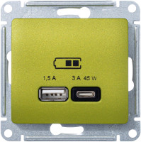 Розетка USB для быстрой зарядки, тип A+C 45ВТ, Фисташковый, AtlasDesign SE GSL001029