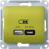 Розетка USB для быстрой зарядки, тип A+C 45ВТ, Фисташковый, AtlasDesign SE GSL001029