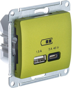 Розетка USB для быстрой зарядки, тип A+C 45ВТ, Фисташковый, Glossa SE GSL001029