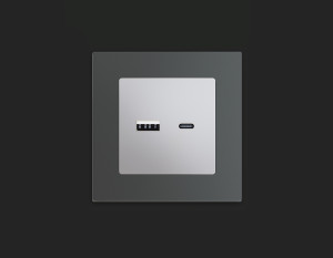 Розетка USB для быстрой зарядки тип A+C, Серебро глянец, ALFA Quant Ambrella Volt MA411010