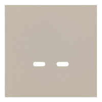 Лицевая панель USB-розетки С+С, Латте, Rikkett 35675 LT