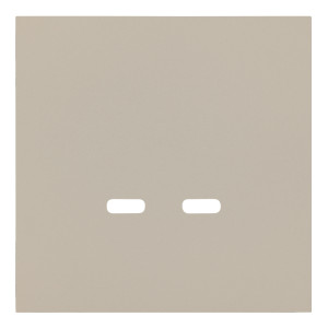 Лицевая панель USB-розетки С+С, Латте, Rikkett 35675 LT Лицевая панель USB-розетки С+С, Латте, Rikkett 35675 LT