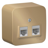 Розетка О/У двойная компьютерная RJ45 кат.5E, Титан, Blanca SE BLNIA045454