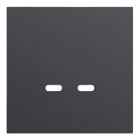 Лицевая панель USB-розетки С+С, Черный сатин, Rikkett 35675 MB