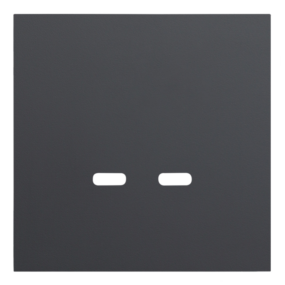 Лицевая панель USB-розетки С+С, Черный сатин, Rikkett 35675 MB