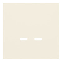 Лицевая панель USB-розетки С+С, Кремовый сатин, Rikkett 35675 MC