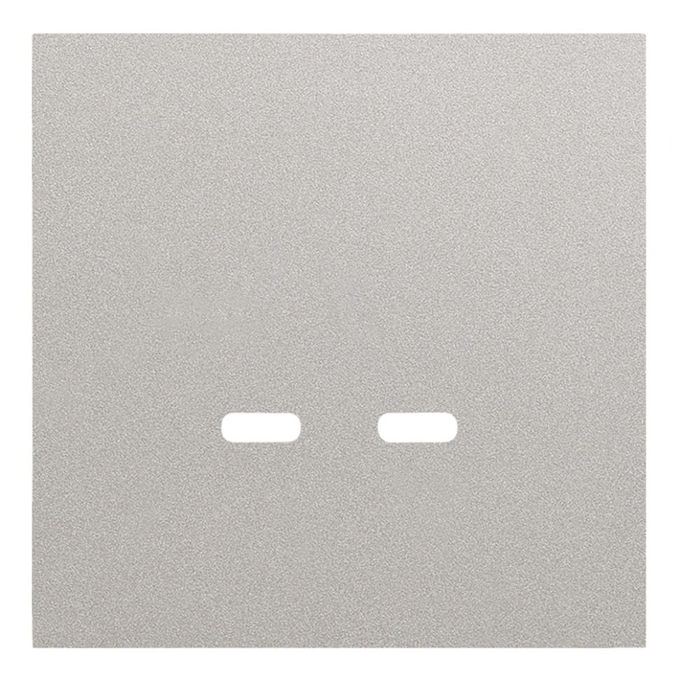 Лицевая панель USB-розетки С+С, Платина, Rikkett 35675 PL