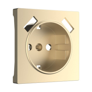 Лицевая панель USB розетки, Шампань, Werkel W1179511