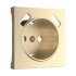 Лицевая панель USB розетки, Шампань, Werkel W1179511