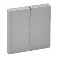 Лицевая панель выключателя 2 кл., алюминий, Valena Life Legrand 755022