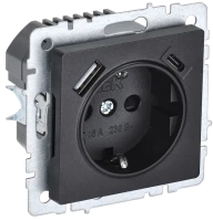 Розетка с З/К и USB зарядкой, тип А+C, Черный, Brite IEK BR-R14-16-U22-018-K02
