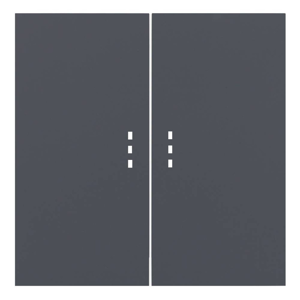 Лицевая панель выключателя 2 кл. перекрестного с подсветкой, Базальт, Rikett 35615 BT Лицевая панель выключателя 2 кл. перекрестного с подсветкой, Базальт, Rikett 35615 BT