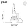 Лампа светодиодная Gauss с солнечной панелью 3W 4000K прозрачная 902102203