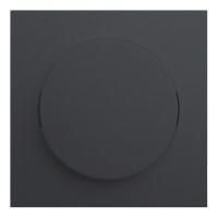 Лицевая панель для поворотного диммера, Черный сатин, Rikkett 35721 MB