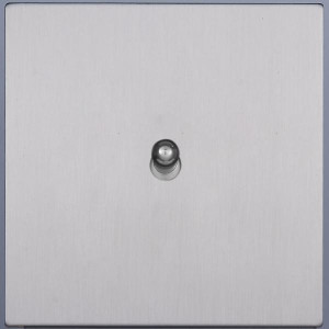 Выключатель тумблерный 1 кл. (внутренний монт.), Никель, Bilbao Salvador SJAN55A5A1