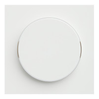 Лицевая панель для поворотного диммера, Белый сатин, Rikkett 35721 MW