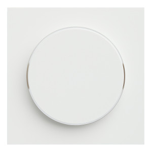 Лицевая панель для поворотного диммера, Белый сатин, Rikkett 35721 MW