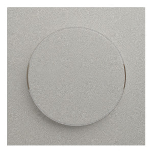 Лицевая панель для поворотного диммера, Платина, Rikkett 35721 PL