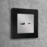 Лицевая панель розетки USB для быстрой зарядки тип A+C, Серебро глянец, ALFA Quant Ambrella Volt AP4110