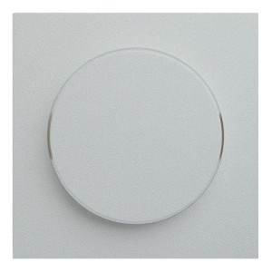 Лицевая панель для поворотного диммера, Серебро, Rikkett 35721 SV