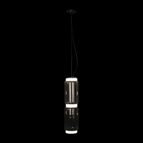 Подвесной светодиодный светильник Loft IT Noctambule 10194/M