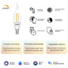 Лампа светодиодная диммируемая филаментная Gauss Smart Home Filament E14 4,5W 2700K прозрачная 1260112