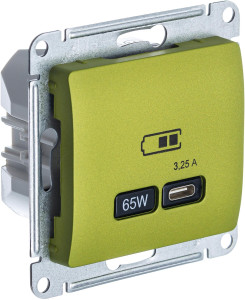 Розетка USB для быстрой зарядки, тип C 65ВТ, Фисташковый, Glossa SE GSL001027