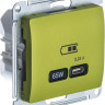 Розетка USB для быстрой зарядки, тип C 65ВТ, Фисташковый, AtlasDesign SE GSL001027