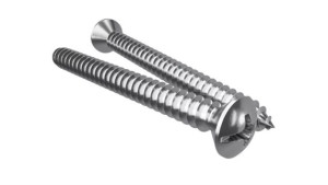 Саморез для изолятора/выключателя, Хром, МезонинЪ GE30002-31 (40 шт./упак.) Саморез для изолятора/выключателя, Хром, МезонинЪ GE30002-31 (40 шт./упак.)