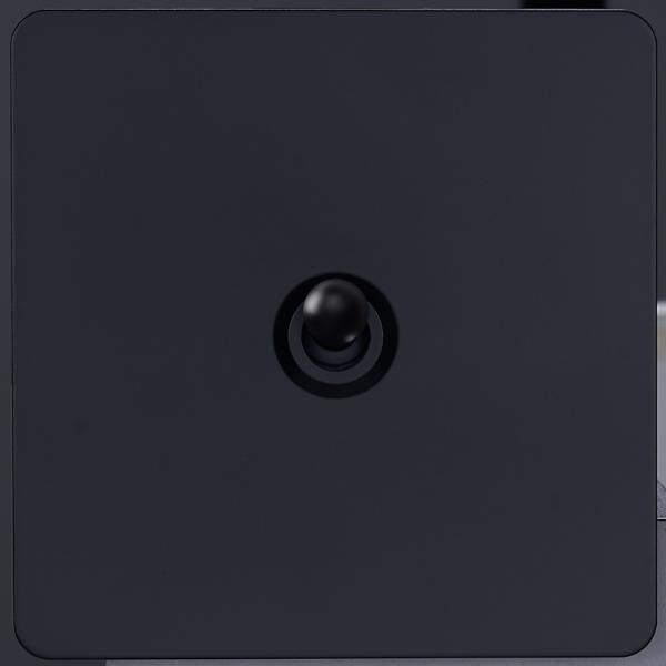 Выключатель тумблерный 1 кл. (внутренний монт.), Черный, Leon Salvador SBAN11A1A1