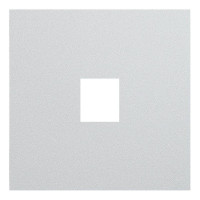 Лицевая панель на механизм инф. роз., Серебро, Rikkett 35441 SV