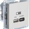 Розетка USB для быстрой зарядки, тип A+C 45Вт, Бежевый, AtlasDesign SE ATN000229