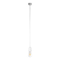 Подвесной светильник Loft IT Sherwood 10091