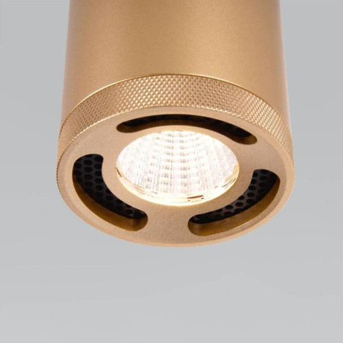 Потолочный светодиодный светильник Elektrostandard Lead 25033/LED золотой a062523
