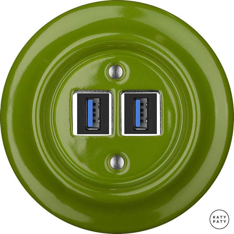 Розетка USB для зарядки, ярко-зеленый глянцевый, Katy Paty NICHGsUSBb 