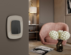 Рамка 2 местная стекло закаленное натуральное, Серо-бежевый, OMEGA Radian Ambrella Volt OF350602